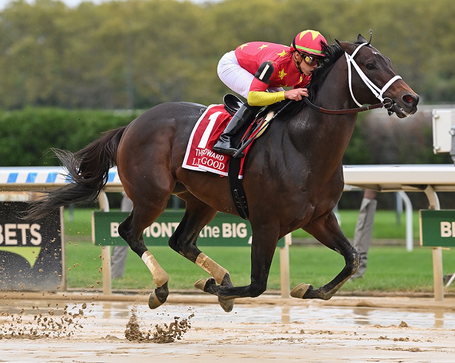 Life Is Good, horse, WinStar Farm, Woodward Stakes, sábado, 1 de octubre de 2022, Aqueduct. Foto: Coglaniese Photo