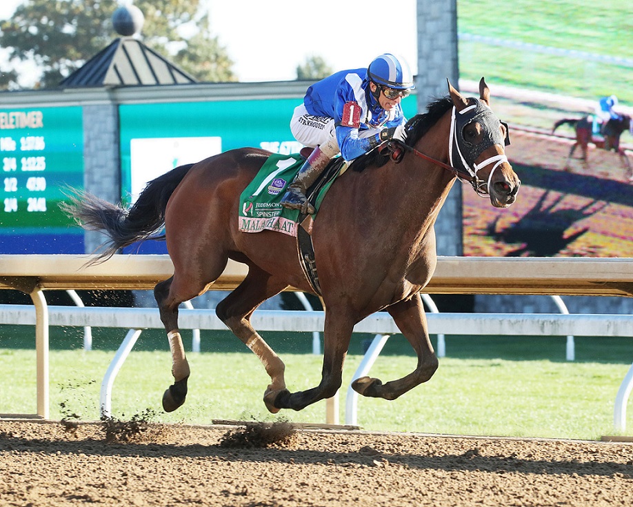 Malathaat, horse, Shadwell Stable, Juddmonte Spinster Stakes, domingo, 9 de octubre de 2022, Keeneland. Foto: Coady Photography