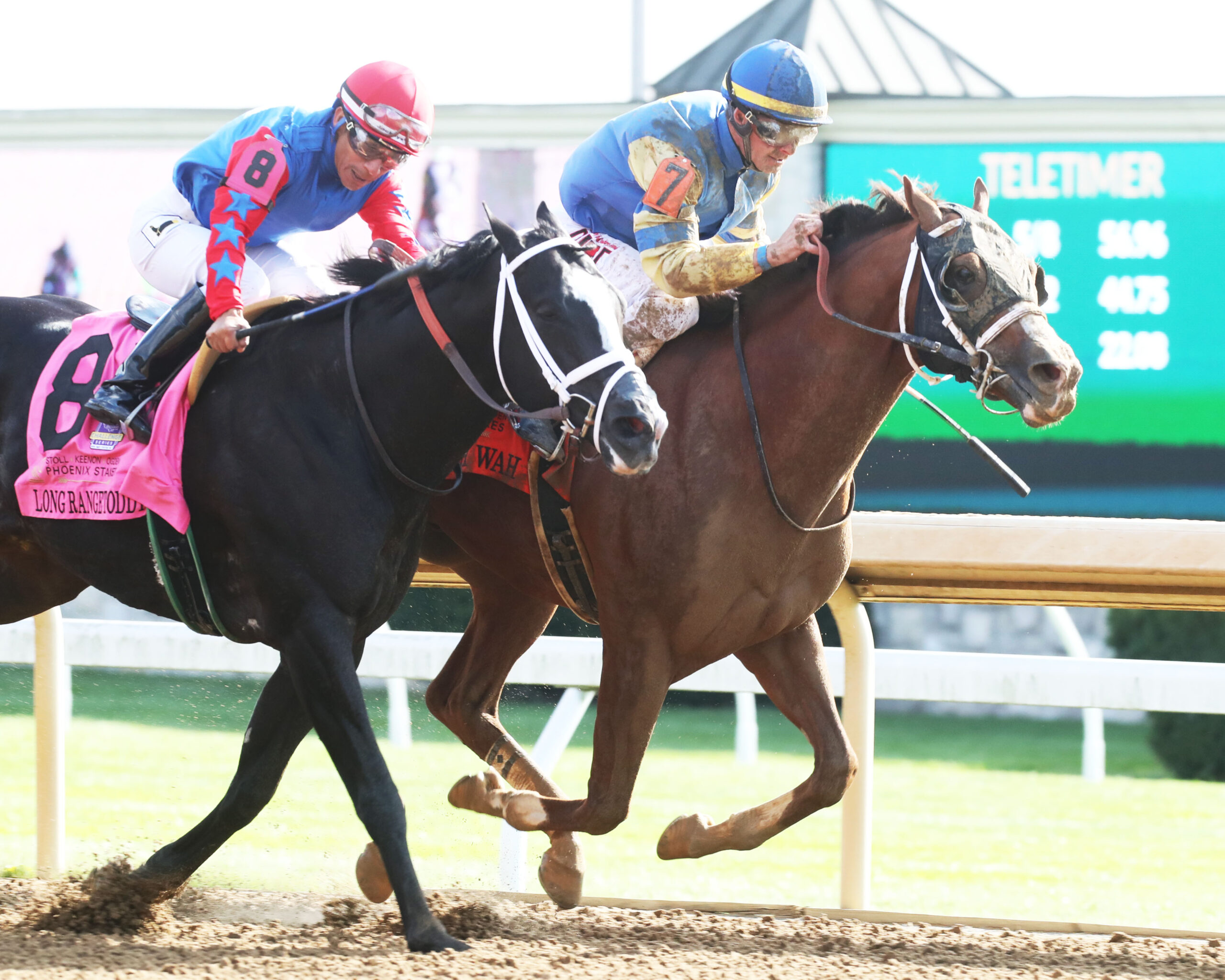 Manny Wah, horse, Will Take Charge, Stoll Keennon Ogden Phoenix Stakes, viernes, 7 de octubre de 2022, Keeneland. Foto: Coady Photography