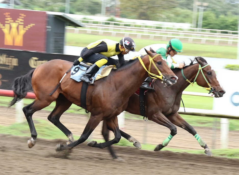 Pica Flor V., horse, Haras Cerro Punta, Clásico Carlos Eleta Almarán, Fernando Eleta Almarán, Raquel Eleta, y Graciela de Chapman, sábado, 8 de octubre de 2022, Presidente Remón. Foto: Erick Ruiz Monroe