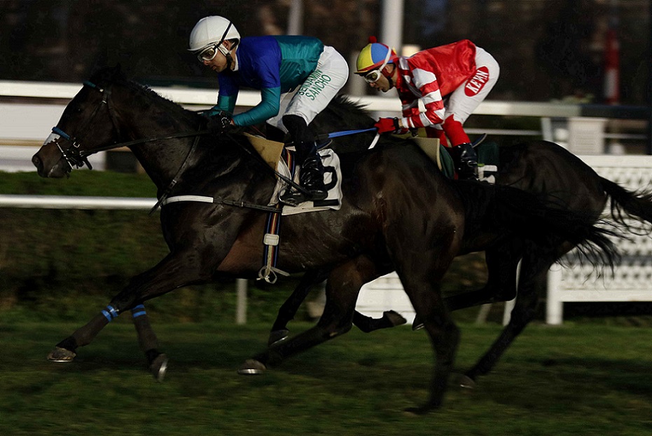 Pogbaa, horse, Stud Matriarca, Clásico Nacional Velocistas, domingo, 2 de octubre de 2022, Club Hípico de Santiago. Foto: Jaime Cortés