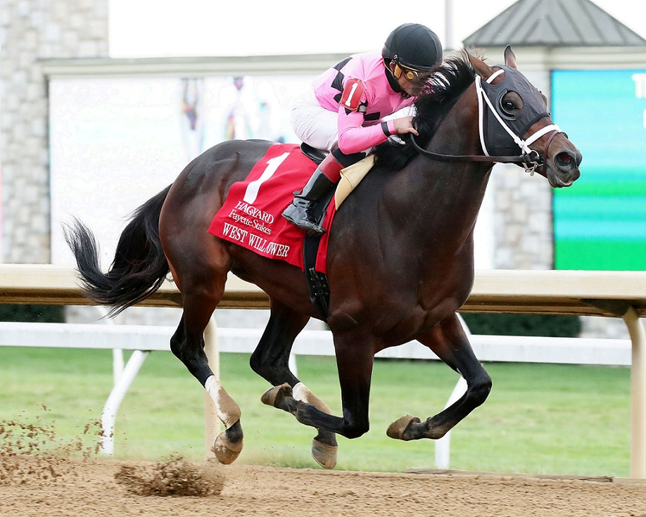 West Will Power, horse, Gary y Mary West, Hagyard Fayette Stakes, sábado, 29 de octubre de 2022, Keeneland. Foto: Coady Photography