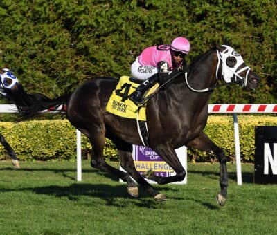 King Cause, horse, Creative Cause, Knickerbocker Stakes, domingo, 9 de octubre de 2022, Aqueduct. Foto: Coglaniese Photo
