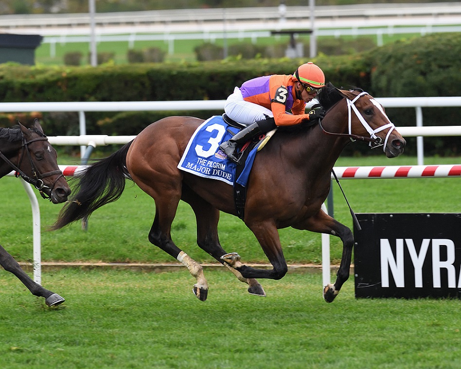 Major Dude, horse, Spendthrift Farms, Pilgrim Stakes, domingo, 2 de octubre de 2022, Aqueduct. Foto: Coglaniese Photo