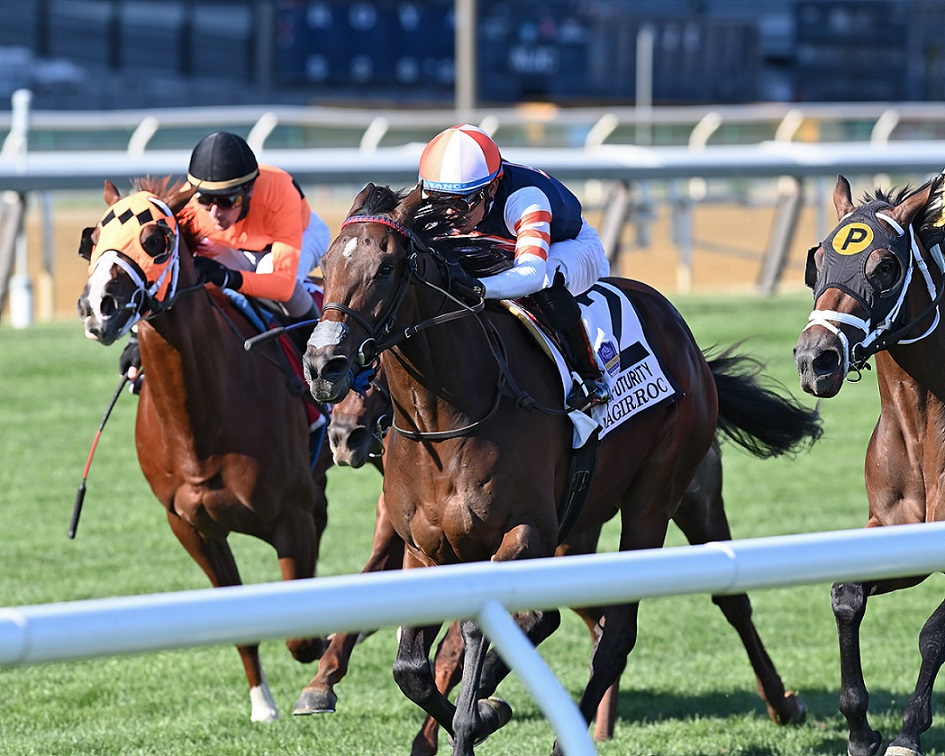 Nagirroc, horse, Madaket Stables, Futurity Stakes, domingo, 9 de octubre de 2022, Aqueduct. Foto: Coglaniese Photo & Chelsea Durand