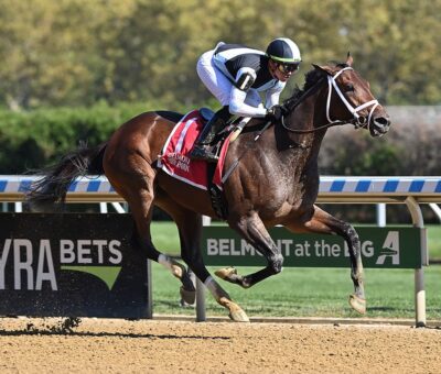 Nest, horse, Repole Stable, Beldame Stakes, domingo, 9 de octubre de 2022, Aqueduct. Foto: Coglaniese Photo
