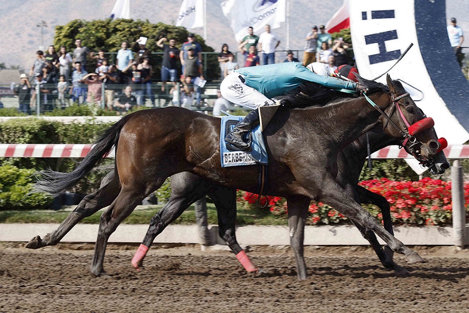 Berberisca, horse, Practical Joke, Clásico Alberto Solari Magnasco, sábado, 5 de noviembre de 2022, Hipódromo Chile. Foto: Jaime Cortés
