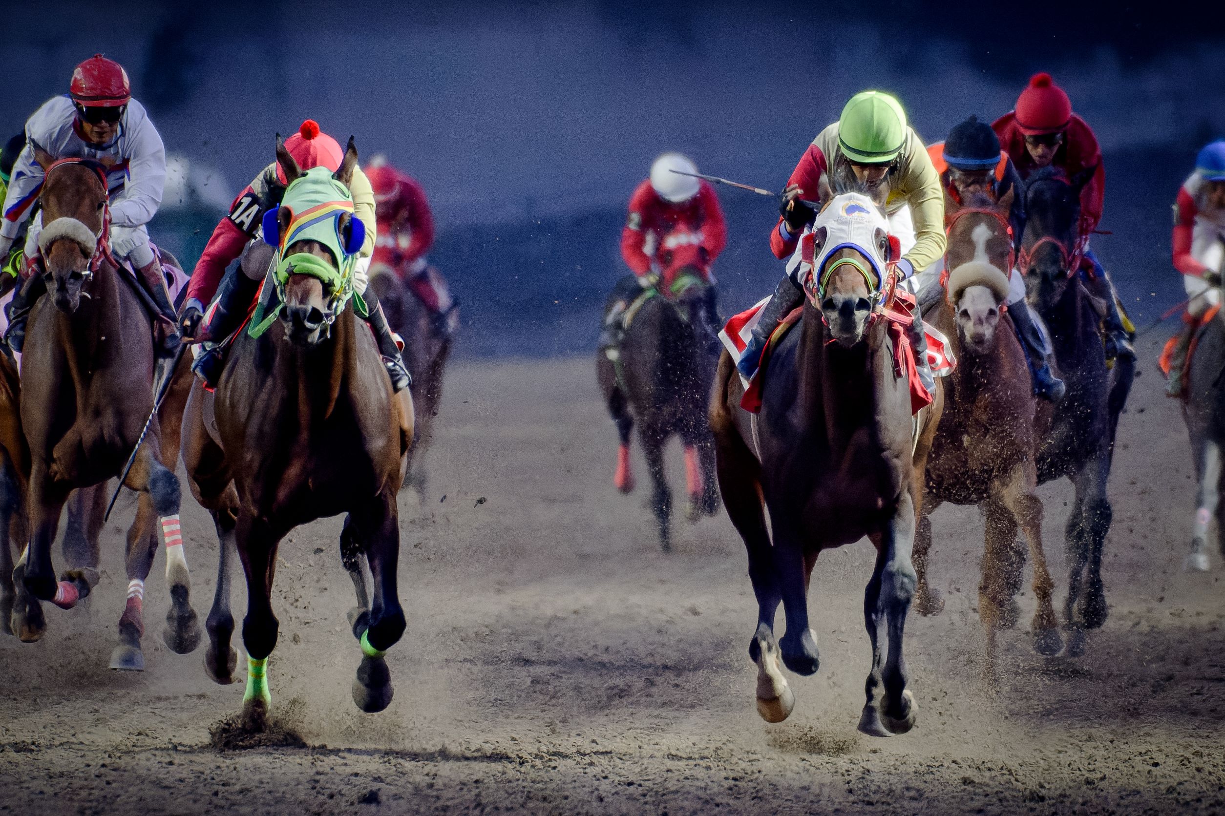 Bjorn Asquifar, horse, Rancho La Soledad de Álvarez, Clásico Anáhuac, Hipódromo de Las Américas, sábado, 15 de octubre de 2022. Foto: Miguel Ángel Espinoza