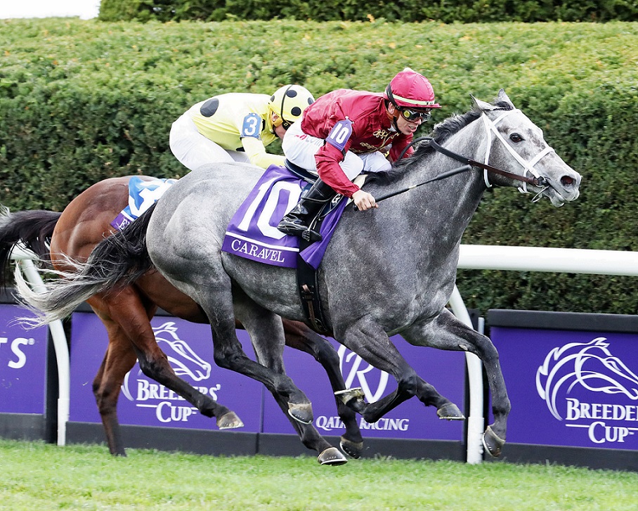 Caravel, horse, Madaket Stables, Franklin Stakes, domingo, 16 de octubre de 2022, Keeneland. Foto: Coady Photography