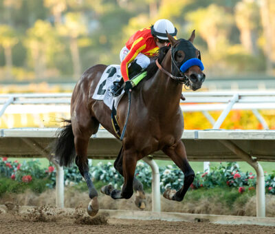 Havnameltdown, Horses, Uncaptured, Bob Hope Stakes, domingo, 20 de noviembre de 2022, Del Mar. Foto: Benoit Photo
