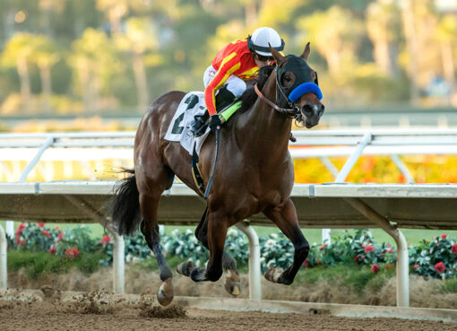 Havnameltdown, Horses, Uncaptured, Bob Hope Stakes, domingo, 20 de noviembre de 2022, Del Mar. Foto: Benoit Photo