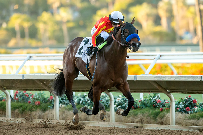 Havnameltdown, Horses, Uncaptured, Bob Hope Stakes, domingo, 20 de noviembre de 2022, Del Mar. Foto: Benoit Photo