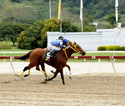 Kingston, horses, Haras La Primavera, Clásico Nuestra Señora de la Chiquínquira Machos, domingo, 6 de noviembre de 2022, La Rinconada. Foto: José Antonio Aray