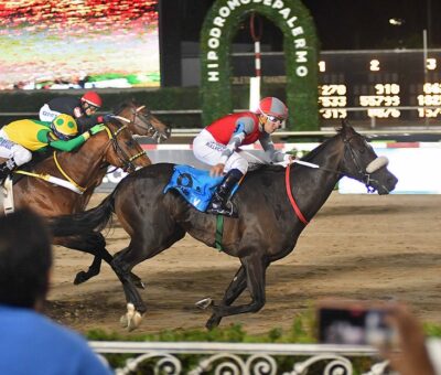Labrado, horse, Le Blues, Clásico Maipú, sábado, 12 de noviembre de 2022, Hipódromo de Palermo. Foto: Prensa Palermo