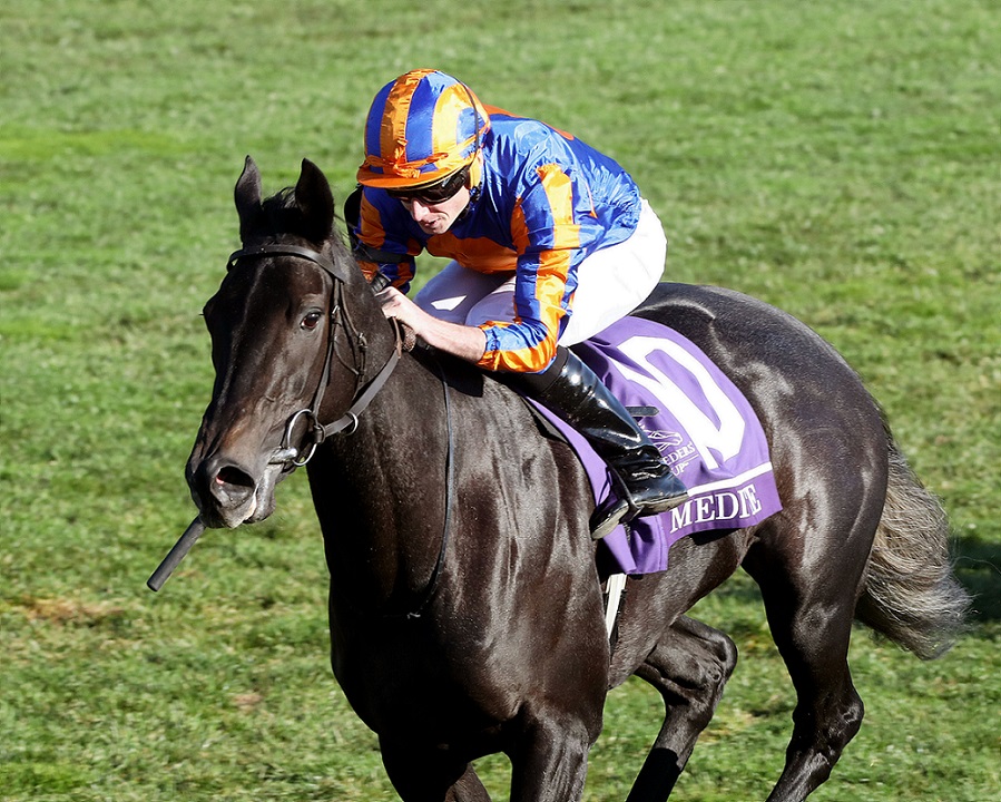 Meditate, No Nay Never, Breeders´ Cup Juvenile Fillies Turf, viernes, 4 de noviembre de 2022, Keeneland. Foto: Coady Photography