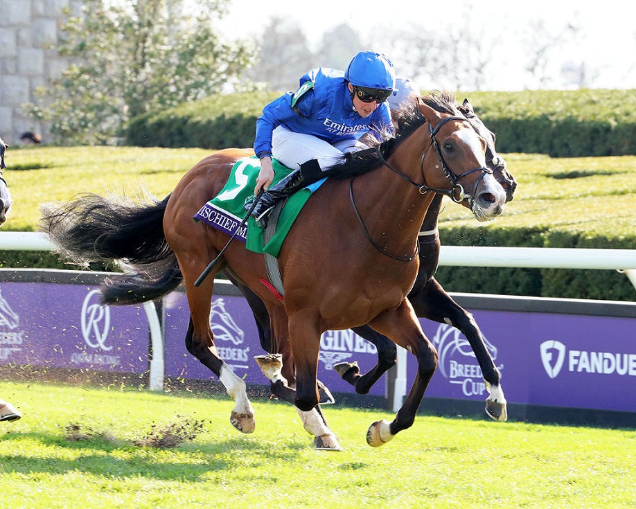 Mischief Magic, horse, Exceed And Excel, Breeders Cup Juveline Turf Sprint, viernes, 4 de noviembre de 2022, Keeneland. Foto: Coady Photo