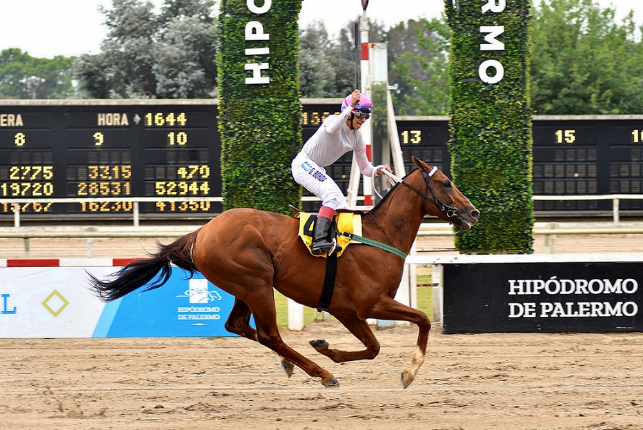 Malibu Spring, horse, Vikeda, Clásico Palermo, sábado, 12 de noviembre de 2022, Hipódromo de Palermo. Foto: Prensa Palermo