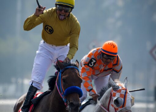 Pascualita, horse, Big Apple, Clásico Criadores Mexicanos Hembras, Hipódromo de Las Américas, sábado, 29 de octubre de 2022. Foto: Miguel Ángel Espinoza