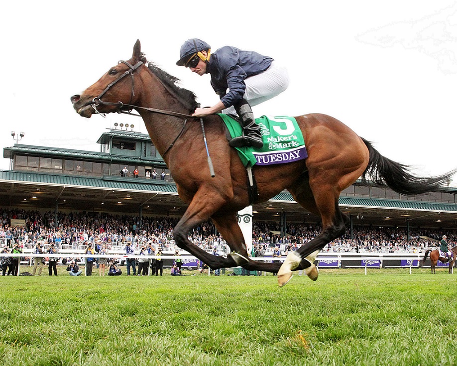 Tuesday, horse, Galileo, Breeders Cup Filly and Mare Turf, sábado, 5 de noviembre de 2022, Keeneland. Foto: Coady Photo