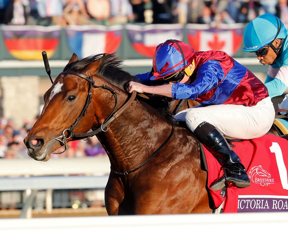 Victoria Road, Westerberg, Breeders´ Cup Juvenile Turf, viernes, 4 de noviembre de 2022, Keeneland. Foto: Coady Photography
