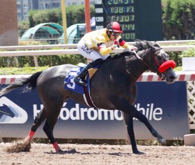 Yuki, horse, The Lumber Guy, Clásico Haras de Chile Marcel Zarour Atanacio, sábado, 26 de noviembre de 2022, Hipódromo Chile. Foto: Jaime Cortés