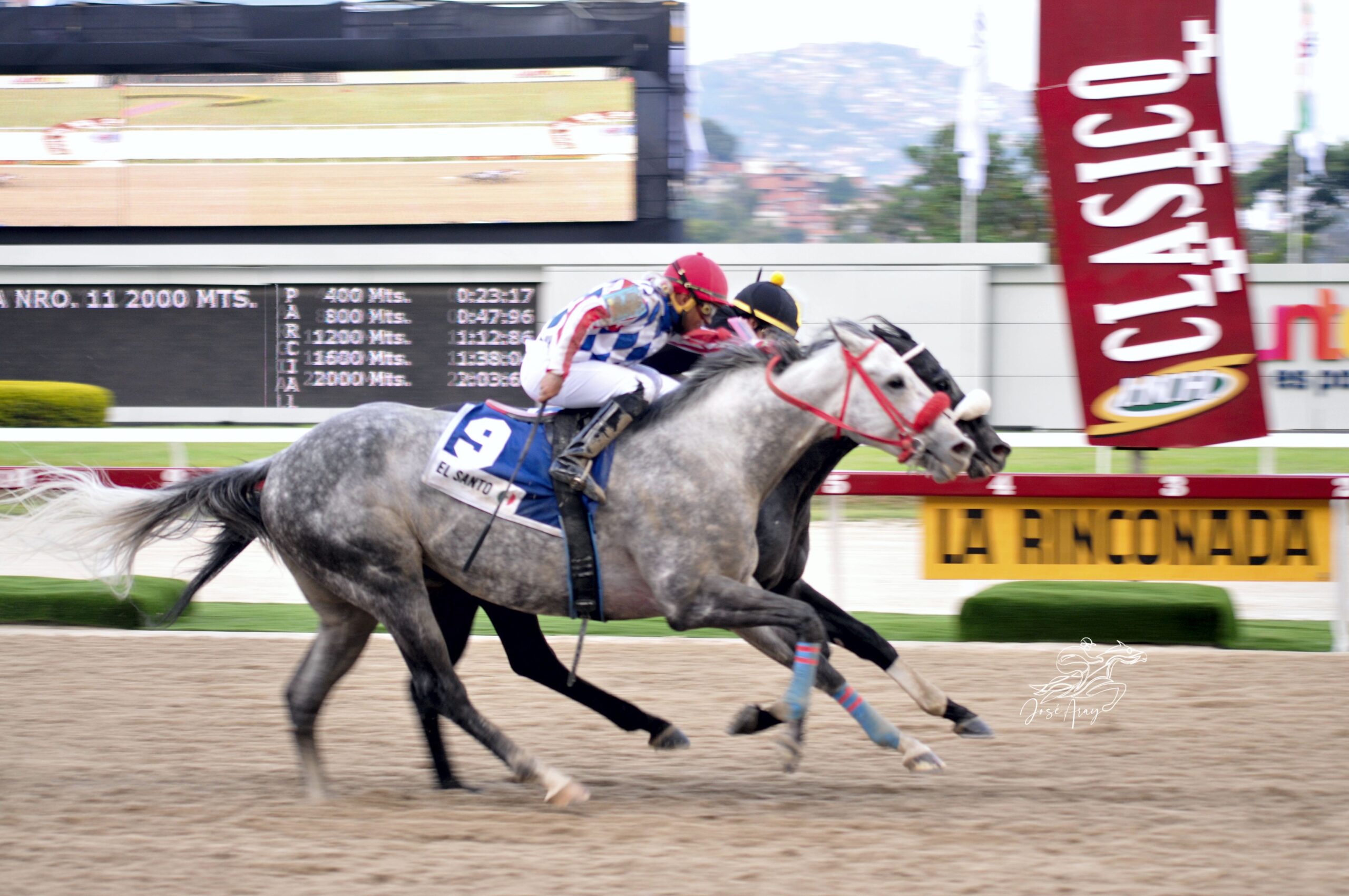 El De Froix, horse, Haras La Orlyana, Clásico Copa Confraternidad de Machos, Serie Hípica del Caribe, domingo, 11 de diciembre de 2022, La Rinconada. Foto: José Antonio Aray