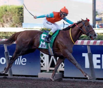 Fortino, horse, Haras Don Alberto, Clásico St Leger, sábado, 3 de diciembre de 2022, Hipódromo de Chile. Foto: Jaime Cortés