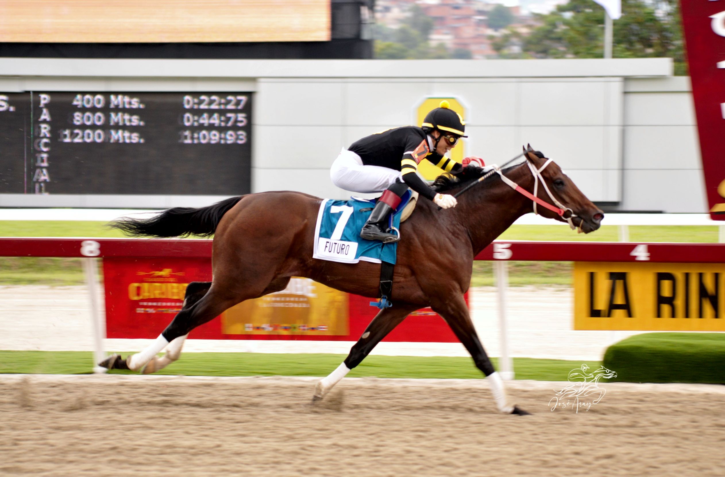 Futuro, horse, Temple City, Copa Velocidad del Caribe, Serie Hípica del Caribe, domingo, 11 de diciembre de 2022, La Rinconada. Foto: José Antonio Aray