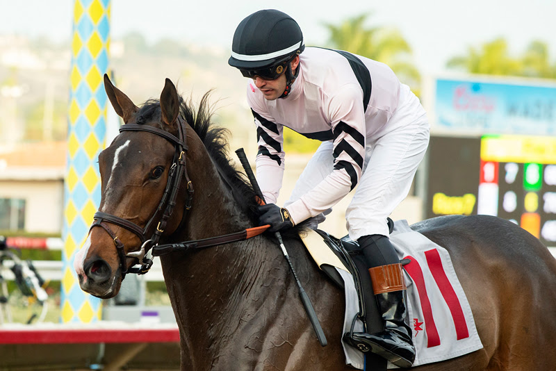 Liguria, Horses, Mr. Speaker, Jimmy Durante Stakes, sábado, 3 de diciembre de 2022, Del Mar. Foto: Benoit Photo