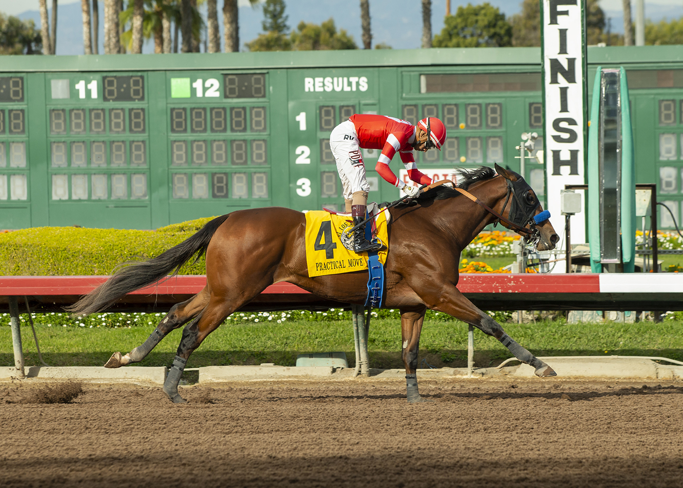 Practical Move, Horses, Practical Joke, Los Alamitos Futurity, sábado, 17 de diciembre de 2022, Hipódromo Los Alamitos. Foto: Benoit Photo