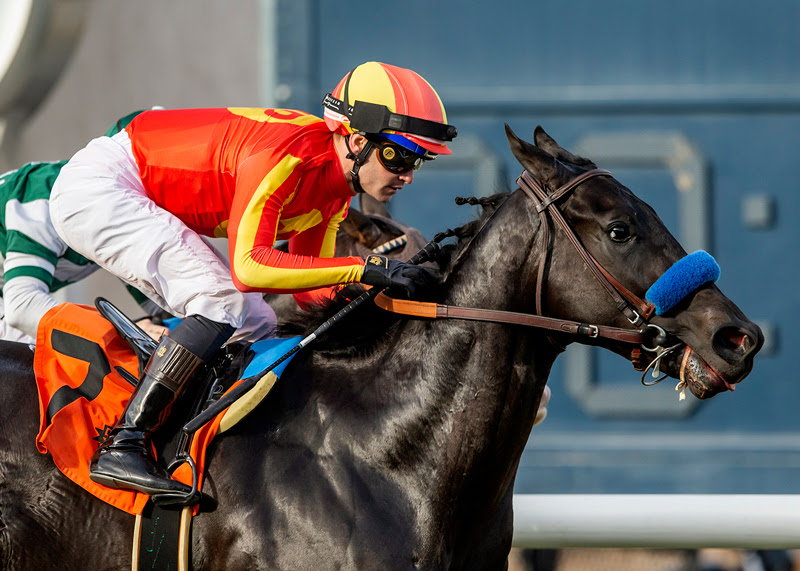 Speed Boat Beach, Horses, Bayern, Cecil B. Demille Stakes, domingo, 4 de diciembre de 2022, Del Mar. Foto: Benoit Photo