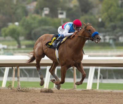 Taiba, horse, Gun Runner, Malibú Stakes, sábado, 26 de diciembre de 2022, Santa Anita Park. Foto: Benoit Photo