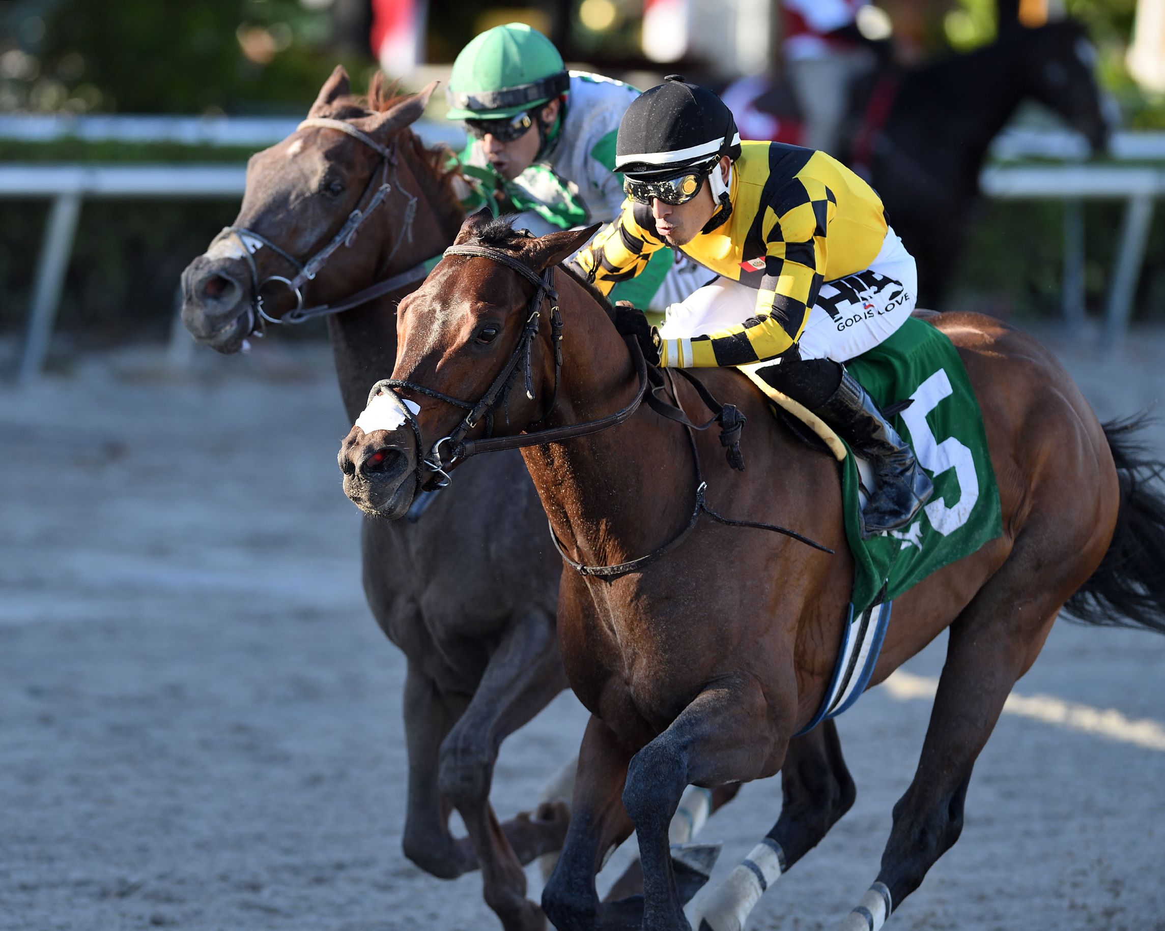 Súper Corinto, horse, Super Saver, Allowance Optional Claiming, jueves, 8 de diciembre de 2022, Gulsftream Park. Foto: Coglianese Photo & Ryan Thompson