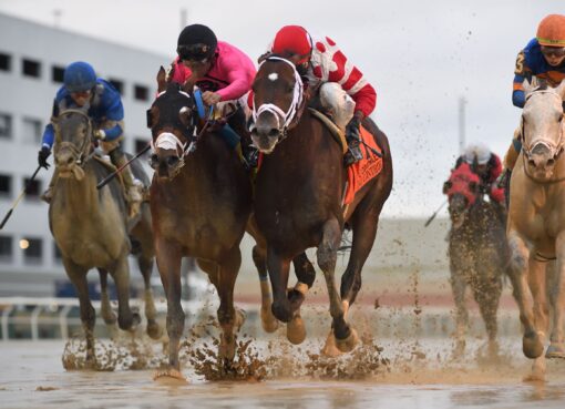 Mind Control, horse, Red Oak Stable, Cigar Mile Stakes, sábado, 3 de diciembre de 2022, Aqueduct. Foto: Coglaniese Photo & Chelsea Durand