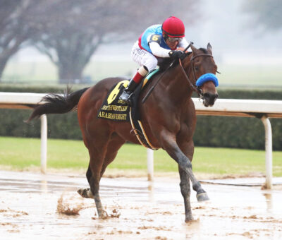 Arabian Knight, horse, Zedan Racing, Southwest Stakes, sábado, 28 de enero de 2023, Oaklawn Park. Foto: Coady Photo
