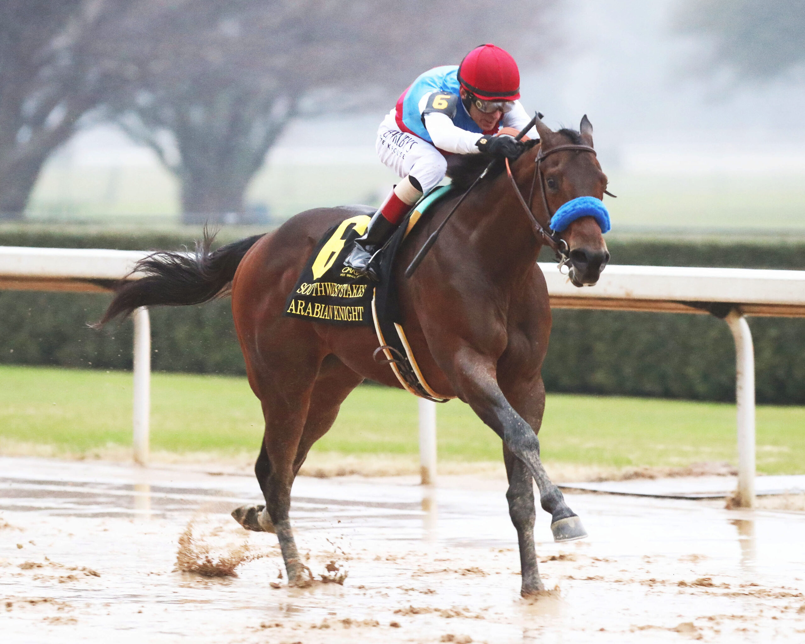 Arabian Knight, horse, Zedan Racing, Southwest Stakes, sábado, 28 de enero de 2023, Oaklawn Park. Foto: Coady Photo