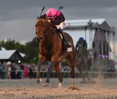 Art Collector, horse, Bruce Lunsford, Pegasus World Cup, sábado, 29 de enero de 2022, Gulfstream Park. Foto: Coglaniese Photo
