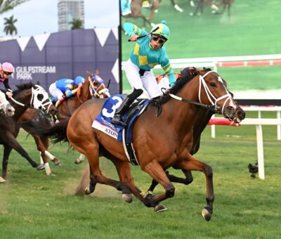 Atone, horse, Into Mischief, Pegasus World Cup Turf Invitational, sábado, 28 de enero de 2023, Gulfstream Park. Foto: Coglaniese Photo