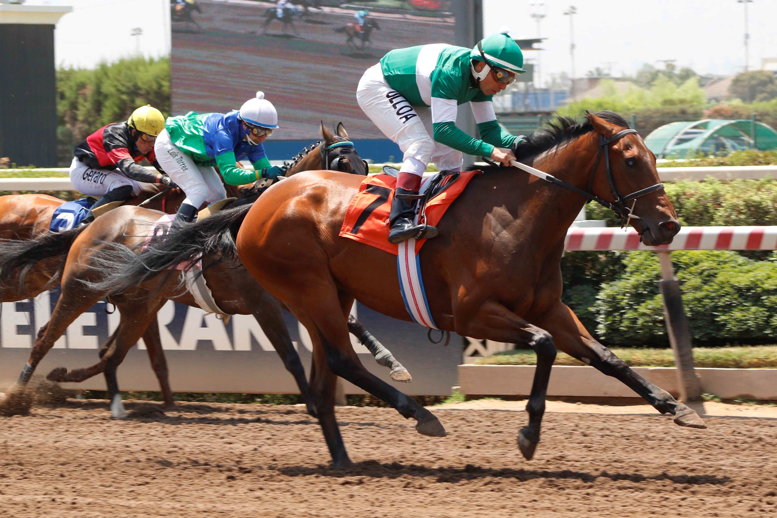 Dulce Encanto, horse, Seeking The Día, Clásico Eugenia, jueves, 19 de enero de 2023, Hipódromo Chile. Foto: Jaime Cortés