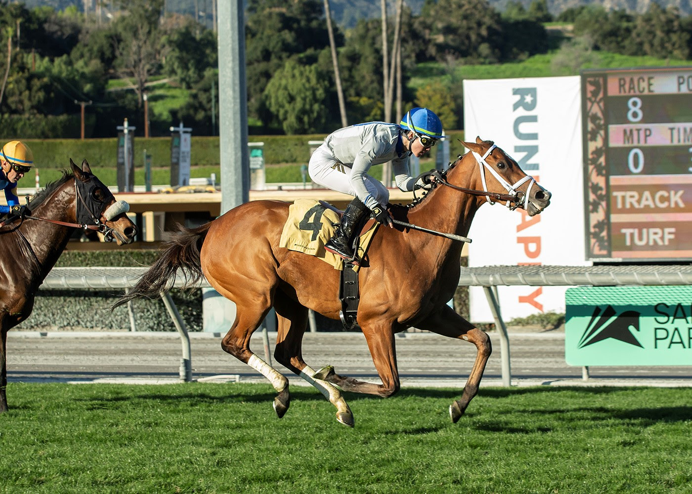 Duvet Day, Horses, Starspangledbanner (AUS), Astra Stakes, sábado, 21 de enero de 2023, Santa Anita Park. Foto: Benoit Photo