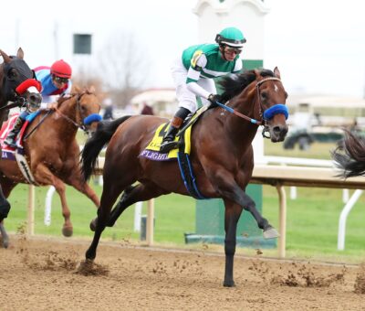Flightline, horse, Tapit, Breeders´ Cup Classic, sábado, 5 de noviembre de 2022, Keeneland. Foto: Coady Photo