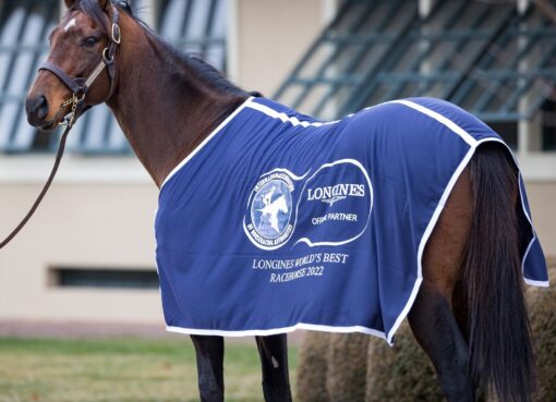 Flightline, horse, Tapit, Longines World Racing Awards 2022, 17 de enero de 2023, Lane´s Farm. Foto: IFHA