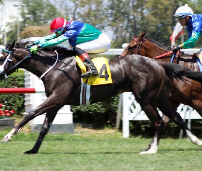 Good Millies, horse, Haras Matriarca, Condicional, lunes, 17 de enero de 2022, Club Hípico de Santiago. Foto: Jaime Cortés