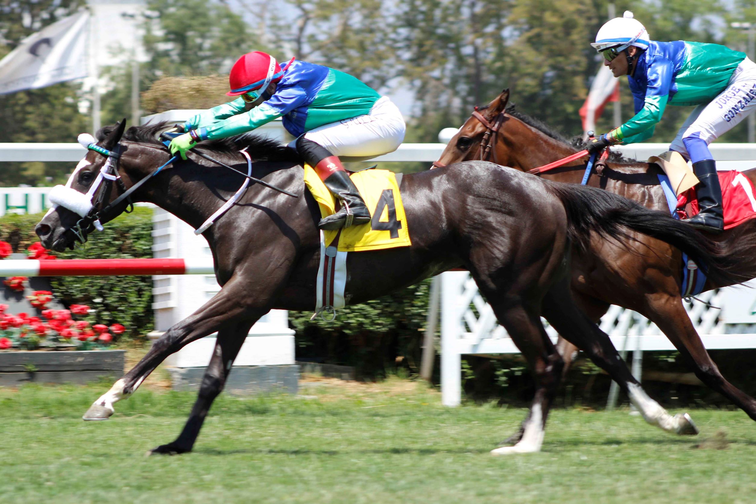 Good Millies, horse, Haras Matriarca, Condicional, lunes, 17 de enero de 2022, Club Hípico de Santiago. Foto: Jaime Cortés