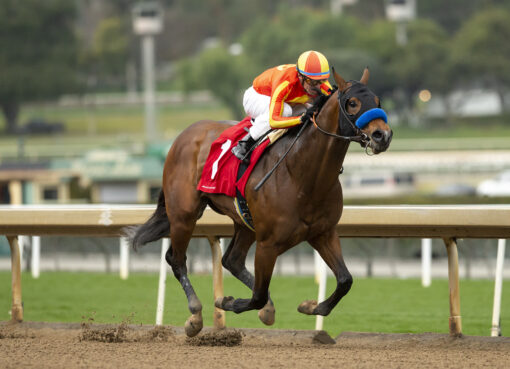Havnameltdown, Horses, Uncaptured, San Pascual Stakes, sábado, 28 de enero de 2023, Santa Anita Park. Foto: Benoit Photo