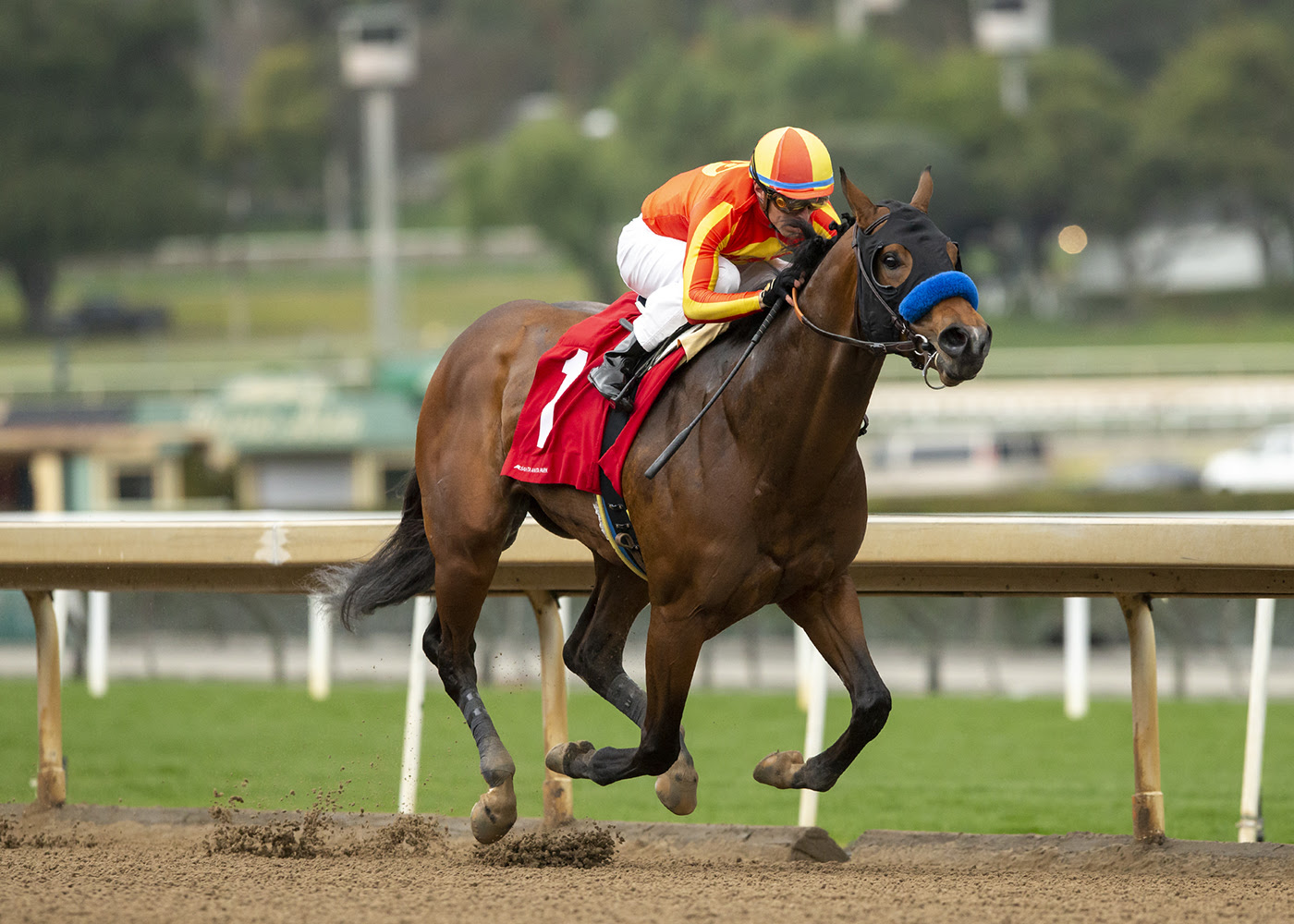 Havnameltdown, Horses, Uncaptured, San Pascual Stakes, sábado, 28 de enero de 2023, Santa Anita Park. Foto: Benoit Photo