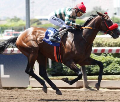 Ned Gowan, horse, Scat Royal, Clásico Puerto Madero, sábado, 14 de enero de 2023, Hipódromo Chile. Foto: Jaime Cortés