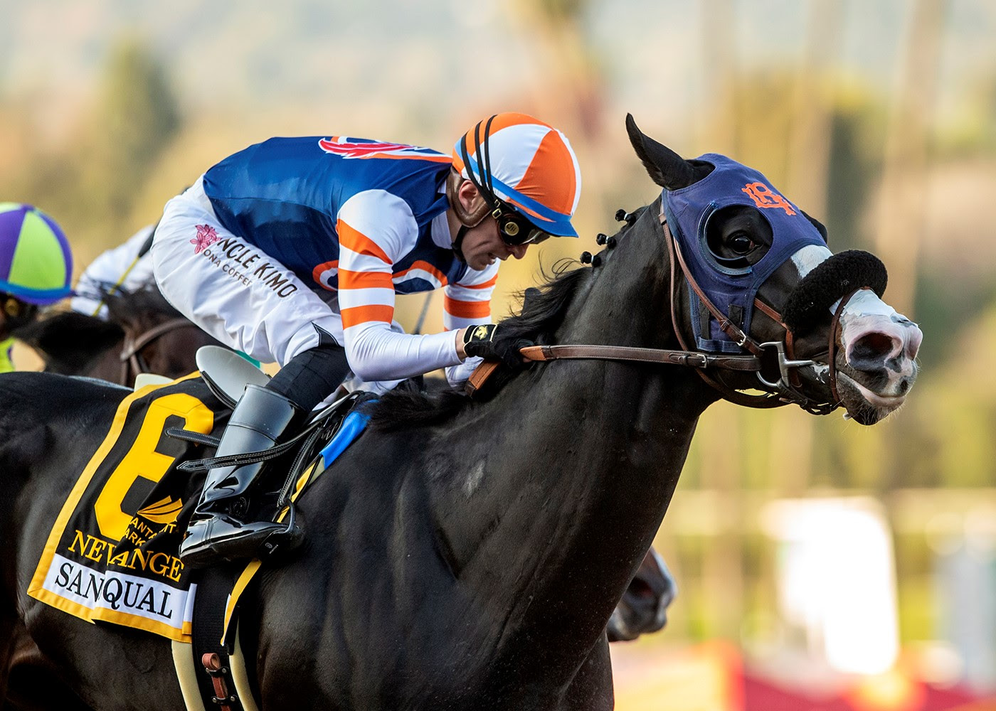 Newgrange, Horses, Violence, San Pascual Stakes, sábado, 28 de enero de 2023, Santa Anita Park. Foto: Benoit Photo