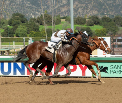 The Chozen Vron, Horses, Vronsky, Valpredo California Cup Sprint Stakes, sábado, 7 de enero de 2023, Santa Anita Park. Foto: Benoit Photo