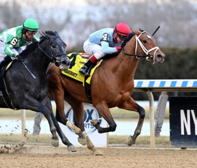 Lugan Knight, horse, Goldencents, Jerome Stakes, sábado, 7 de enero de 2023, Aqueduct. Foto: Coglaniese Photo & Susie Raisher